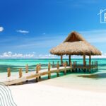 Palma Sintética en Punta Cana