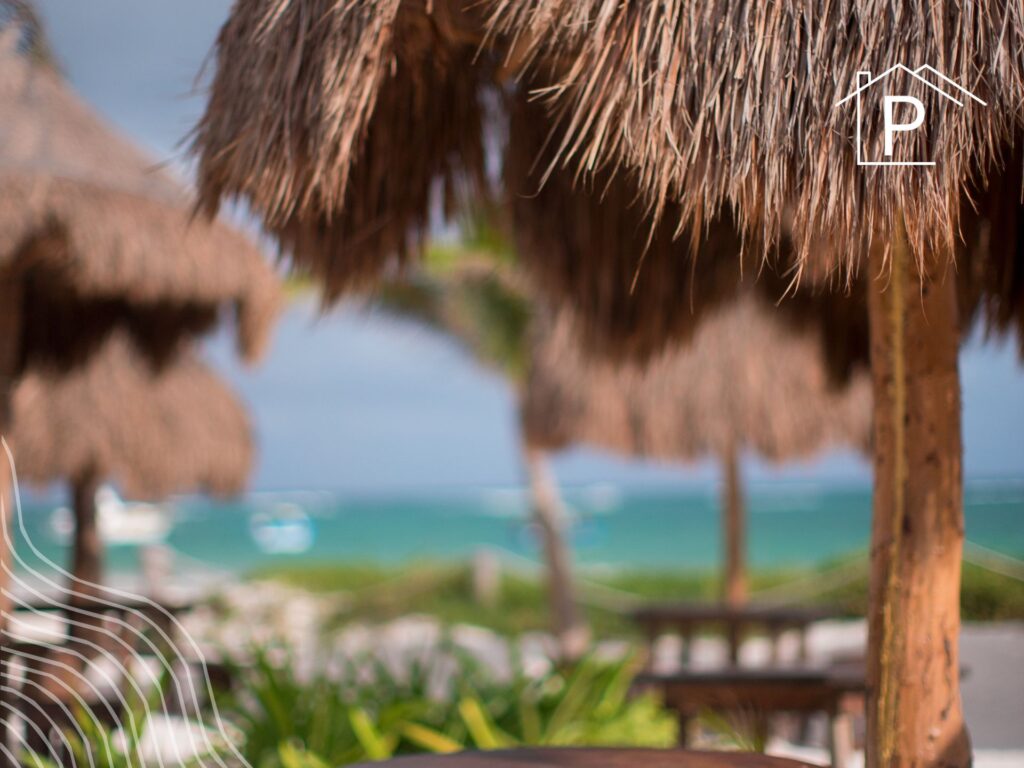 palma sintética en Punta Cana