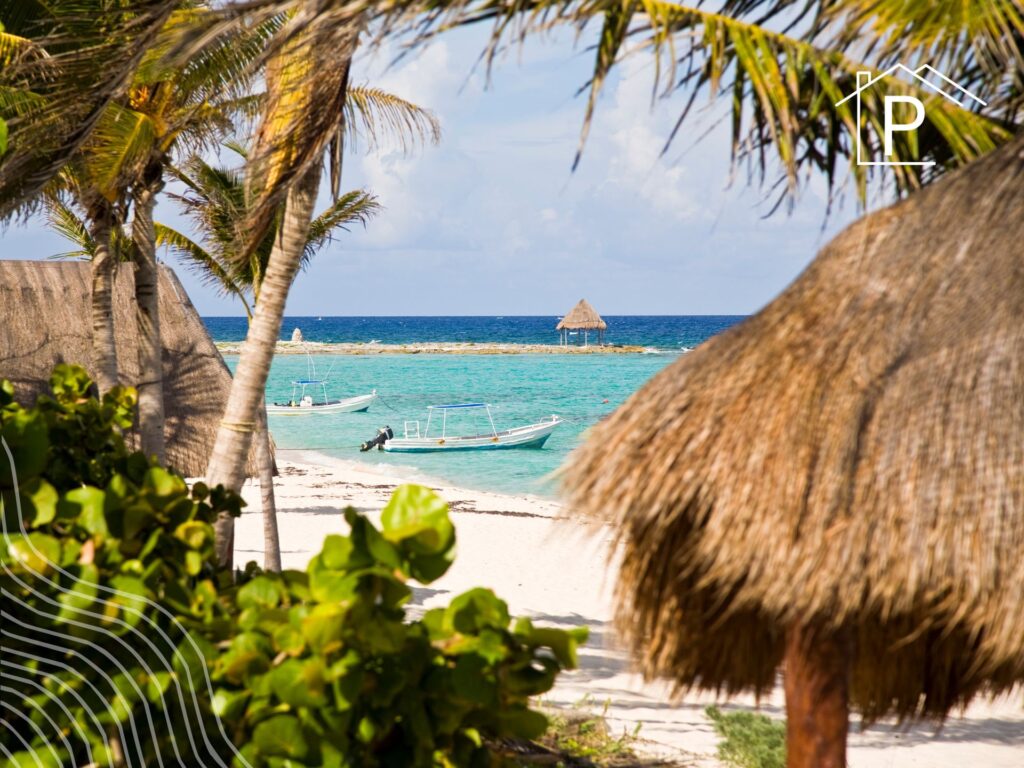 palma sintética en Punta Cana